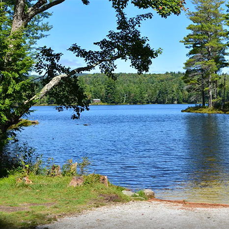 Vermont State Parks: A 100-Year Journey